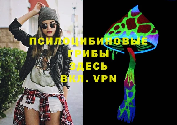 дурь Алексин