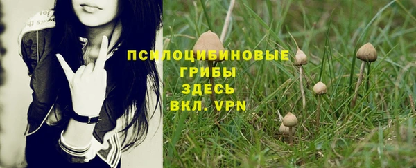дурь Алексин