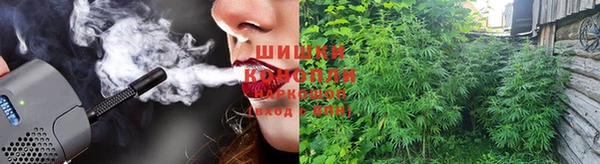 мяу мяу мука Алзамай