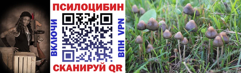 Псилоцибиновые грибы прущие грибы купить наркотик Могоча