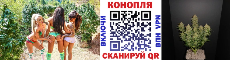 Канабис ГИДРОПОН  blacksprut ссылка  Могоча 